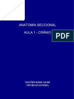 Anatomia Seccional (Aula 1)