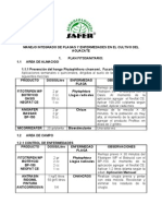 Manejo Integrado de Plagas y Enfermedades en El Cultivo Del Aguacate