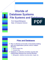 The Worlds of Database Systems: File Systems and Databases