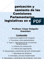 CDG - Organización y Funcionamiento de Las Comisiones Ordinarias en El Perú