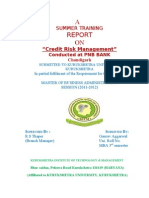 Credit Risk Management