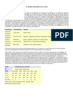 El Cambio Demográfico en Chile