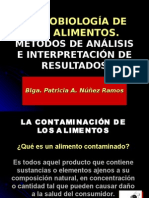 Microbiologia de Los Alimentos