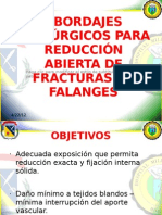 Abordajes Quirúrgicos para Reducción Abierta de Fracturas de Falanges