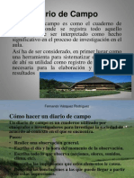 Diario de Campo.