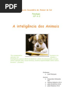 A Inteligência Dos Animais