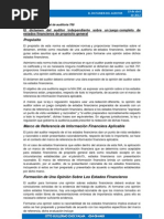 El Dictamen Del Auditor PDF