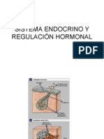 Sistema Endocrino y Regulacion Hormonal