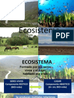 Bio Ecosistema