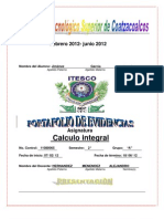 Calculo Integral (Figuras Amorfas)