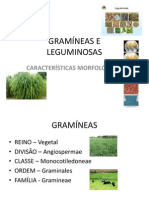 Gramíneas e Leguminosas