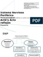 SNP Mapa Conceptual