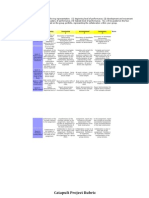 Catapult Project (Performance Task) Evaluation Rubric