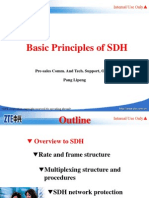 Training PPT, SDH Principle, 20040423