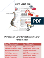 Sistem Saraf Tepi