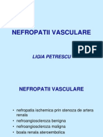 Nefropat Vasc Rom Curs