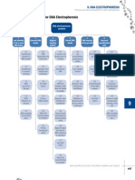 9 DNA Troubleshooting