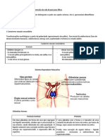 Reprodução Humana Resumo