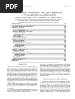 Classification, Identification, and Clinical Significance of Proteus, Providencia, and Morganella PDF