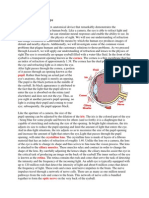 The Anatomy of The Eye