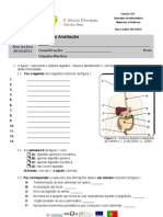 Teste 1 Digestivo