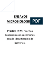 Práctica Nº26 MICRO