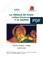 La Cebolla de Rama