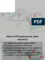 Polymerase Chain Reaction