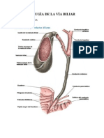 Cirugía Via Biliar