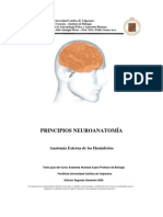 Pricipio Neuronomia