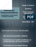 Articulación Temporomandibular