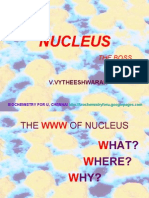 Nucleus - Morphology and Functions