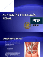 Anatomía y Fisiología Renal