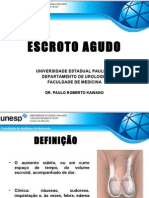 Escroto Agudo