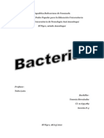 Bacterias