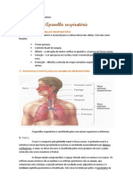 Resumos Do Aparelho Respiratório