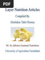 Layer Nutrition Articles