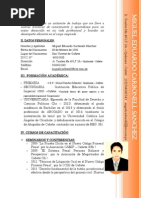 Curriculum Vitae