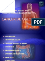 Cancer de Colon