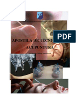 Apostila de Tecnicas 2008