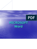 MS Word