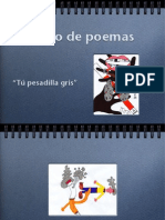 Libro de Poemas