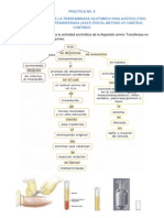 Determinacion de TGO