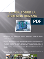 Teoría Sobre La Agresión Humana