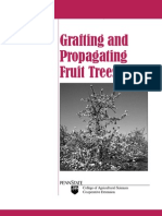 Grafting Fruit Trees