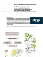 Tema+1 +desarrollo +crecimiento+y+diferenciación