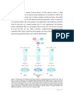 Conjugation and Transformation