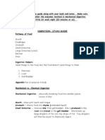 Disgestive System Flow