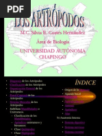 Artropodos