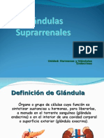 Glandula Suprarrenales